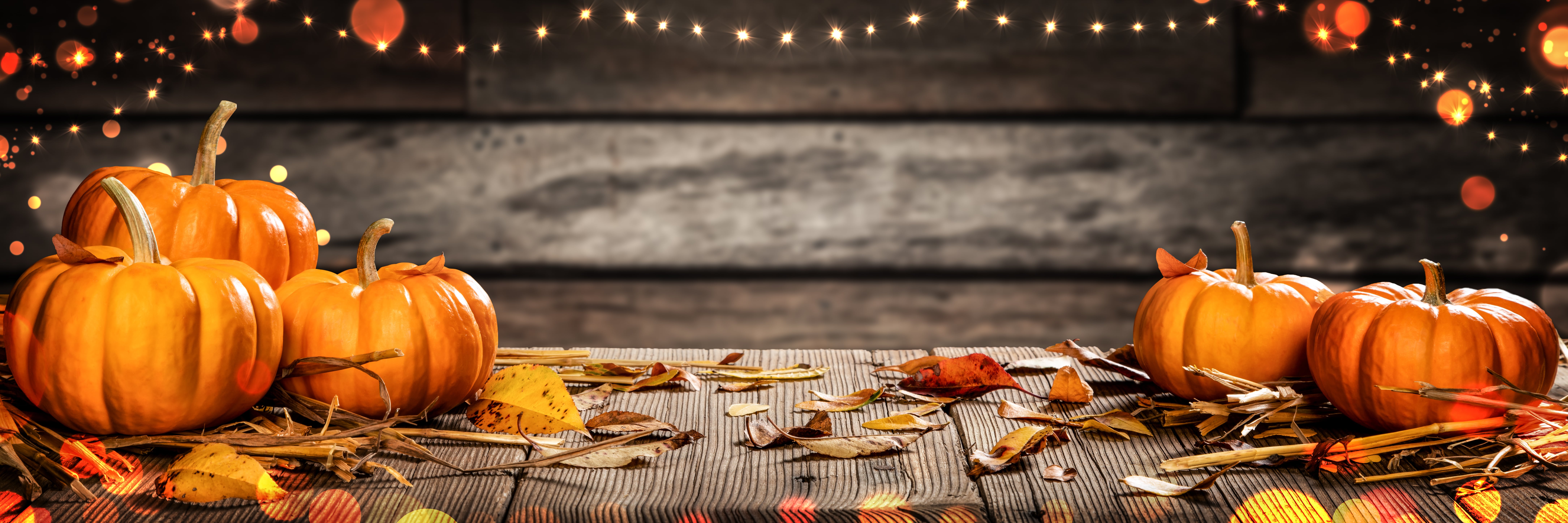 travel hacks for thanksgiving
