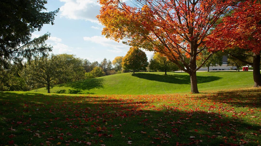 Break-special trips for SUNY Geneseo | Ride with OurBus