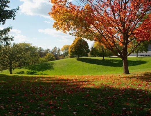 Break-special trips for SUNY Geneseo | Ride with OurBus