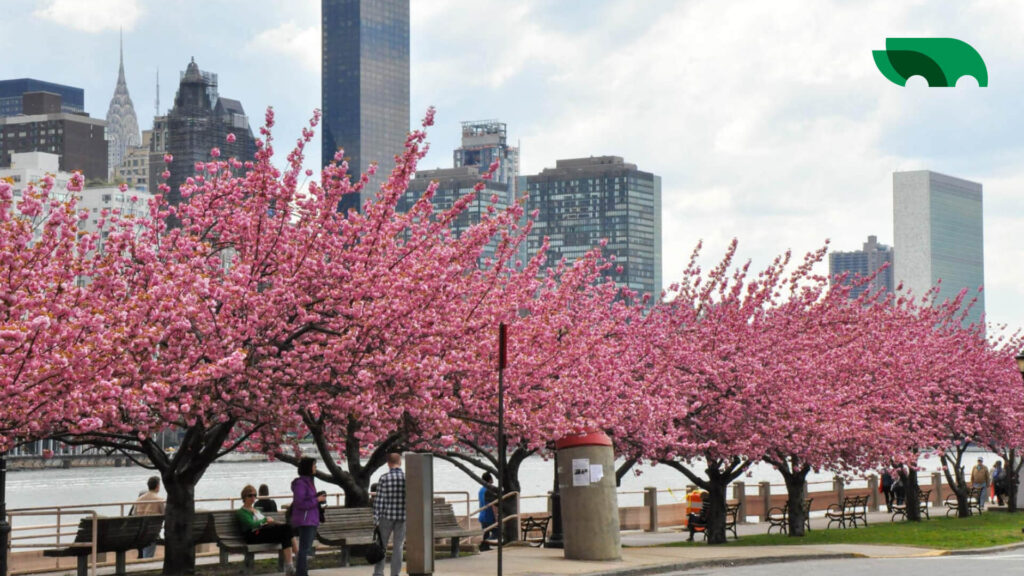 NYC for Spring Getaways - OurBus