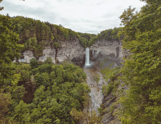 NYC to Ithaca