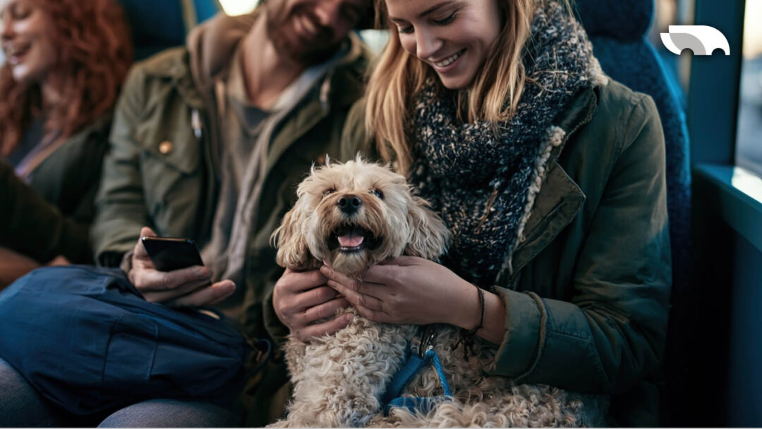 Can You Bring a Pet on OurBus What's Allowed