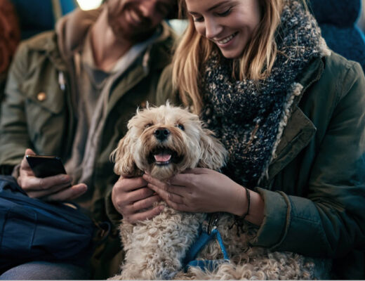 Can You Bring a Pet on OurBus What's Allowed