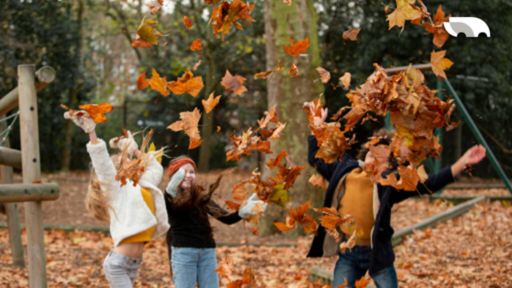 Which Fall Festivals Can You Reach by Bus | Blog