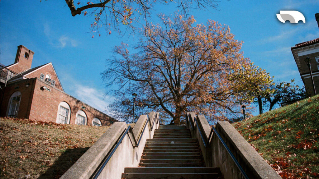 Can You Get to Morgantown from DC Without a Car. | Blog